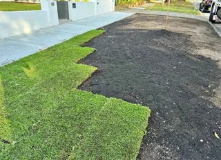 All season fresh grass