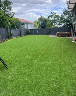 Instant lawn