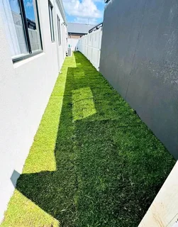 All season fresh grass