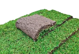 Instant lawn