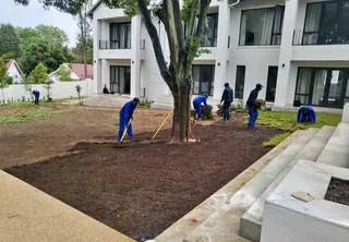 All season fresh grass