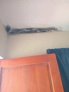 Painting job ,wall preparation for cracks