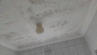 Renovation jobs ,and painting