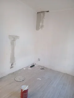 Renovation jobs ,and painting