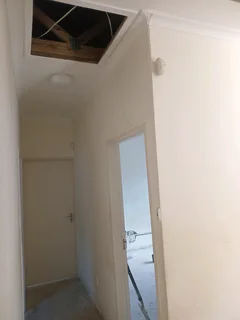 Renovation jobs ,and painting