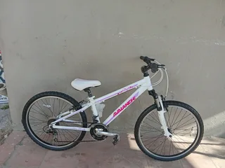 24inch avalanche cosmic