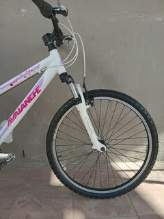 24inch avalanche cosmic