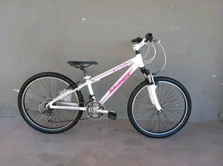 24inch avalanche cosmic