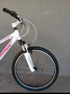 24inch avalanche cosmic