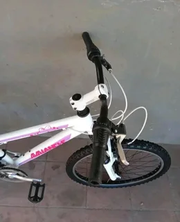 24inch avalanche cosmic