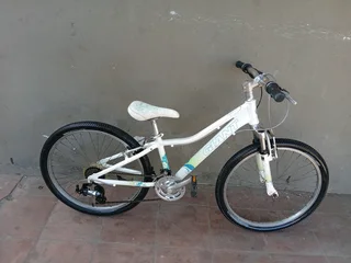 24inch Giant bicycle