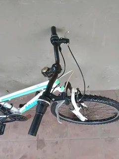 24inch avalanche cosmic