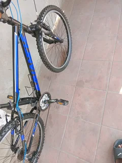 24inch avalanche cosmic