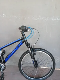 24inch avalanche cosmic