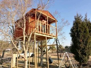 AAA ASHLEY HIGH STRONG QUALITY LOGHOMES AND DISCOUNT WENDY&#39;S