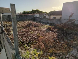 Vacant plot for rent in Rylands