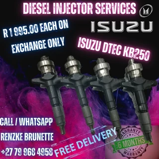 6 Months Warranty - Diesel Injectors