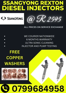 Ssangyong Rexton Diesel Injectors/ Free Copper Washers