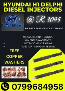 Hyundai H1 Delphi Diesel Injectors/ 6 Months Warranty