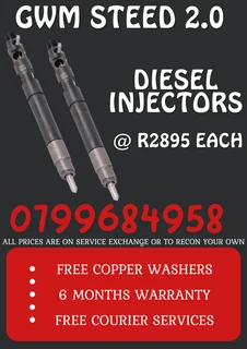 Gwm Steed 2.0 Diesel Injectors/ Free Copper Washers