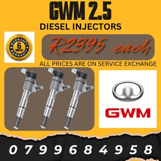 Gwm 2.5 Diesel Injectors/ We Recon And Sell On Exchange