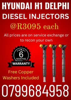 Hyundai H1 Delphi Diesel Injectors/ 6 Months Warranty