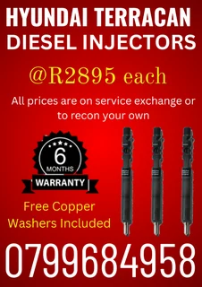 Hyundai Terracan 2.9 Diesel Injectors/free Copper Washers