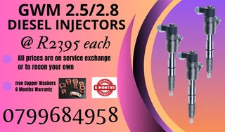 Gwm 2.5/2.8 Diesel Injectors/ 6 Months Warranty
