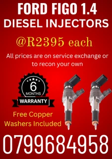Ford Figo 1.4 Diesel Injectors/ We Recon And Sell On Exchange