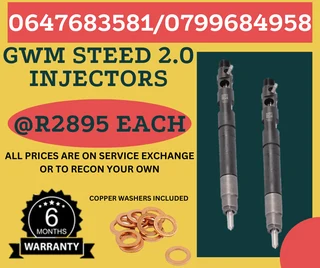 Gwm Steed 2.0 Diesel Injectors/ We Recon And Sell On Exchange