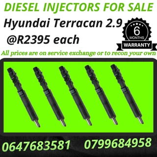 Hyundai Terracan Diesel Injectors For Sale Free Copper Washers