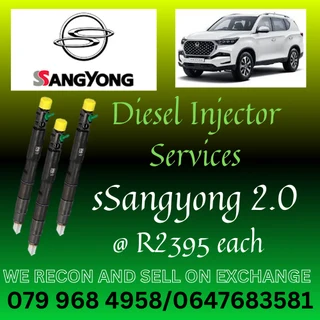 Ssangyong 2.0 Diesel Injectors For Sale We Recon And Sell On Exchange