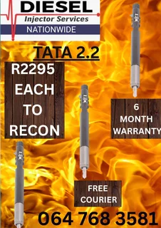 Tata 2.2 Diesel Injectors Recon Services