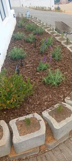 I&#39;M LOOKING FOR EXTRA 3 DAYS JOB AS A GARDENER