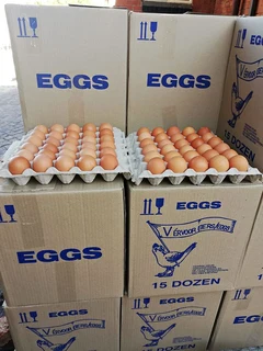 Fertile Chicken Eggs Available For Sale. Whats-app +27738360824