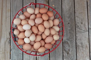 Fertile Chicken Eggs Available For Sale. Whats-app &#43;27738360824