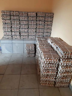 High Quality Eggs For Sale Near Me. Whats-app +27738360824