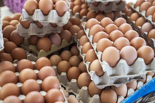 Premium farm fresh table chicken eggs for sale in bulk quantities at cheap price.