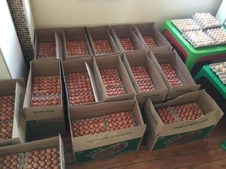 Premium farm fresh table chicken eggs for sale in bulk quantities at cheap price.