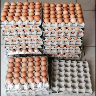 Farm Fresh Chicken Table Eggs Brown. - Brown Eggs For Sale Whats-app +27738360824.