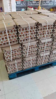 Fresh eggs for sale. Whats-app &#43;27738360824