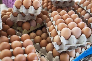 Fresh eggs for sale. Whats-app &#43;27738360824