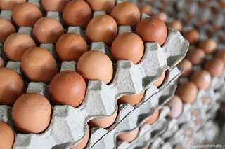 We sale fresh brown and white eggs at cheaper price WhatsApp &#43;27738360824.