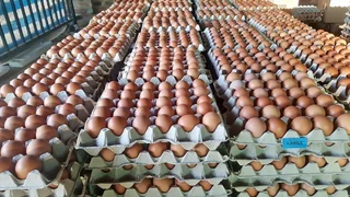 Best Prices for High-Quality Eggs Calls or WhatsApp &#43;27738360824.