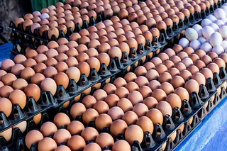 High Quality Edible Eggs Available Call or WhatsApp +27738360824.