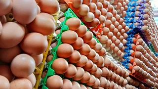 High Quality Edible Eggs Available Call or WhatsApp &#43;27738360824.