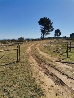 Olive and Truffle Farm for Sale Albertinia