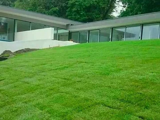 Kikuyu grass installations and tree felling