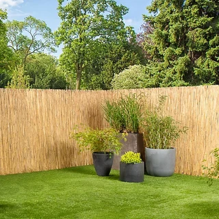 Picket fencing and bamboo fencing