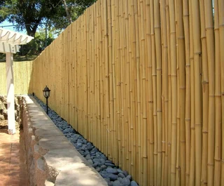 Picket fencing and bamboo fencing